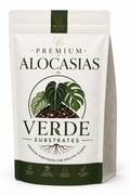 Substrate Alocasias